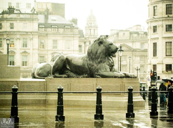 Trafalgar Square in the Rain